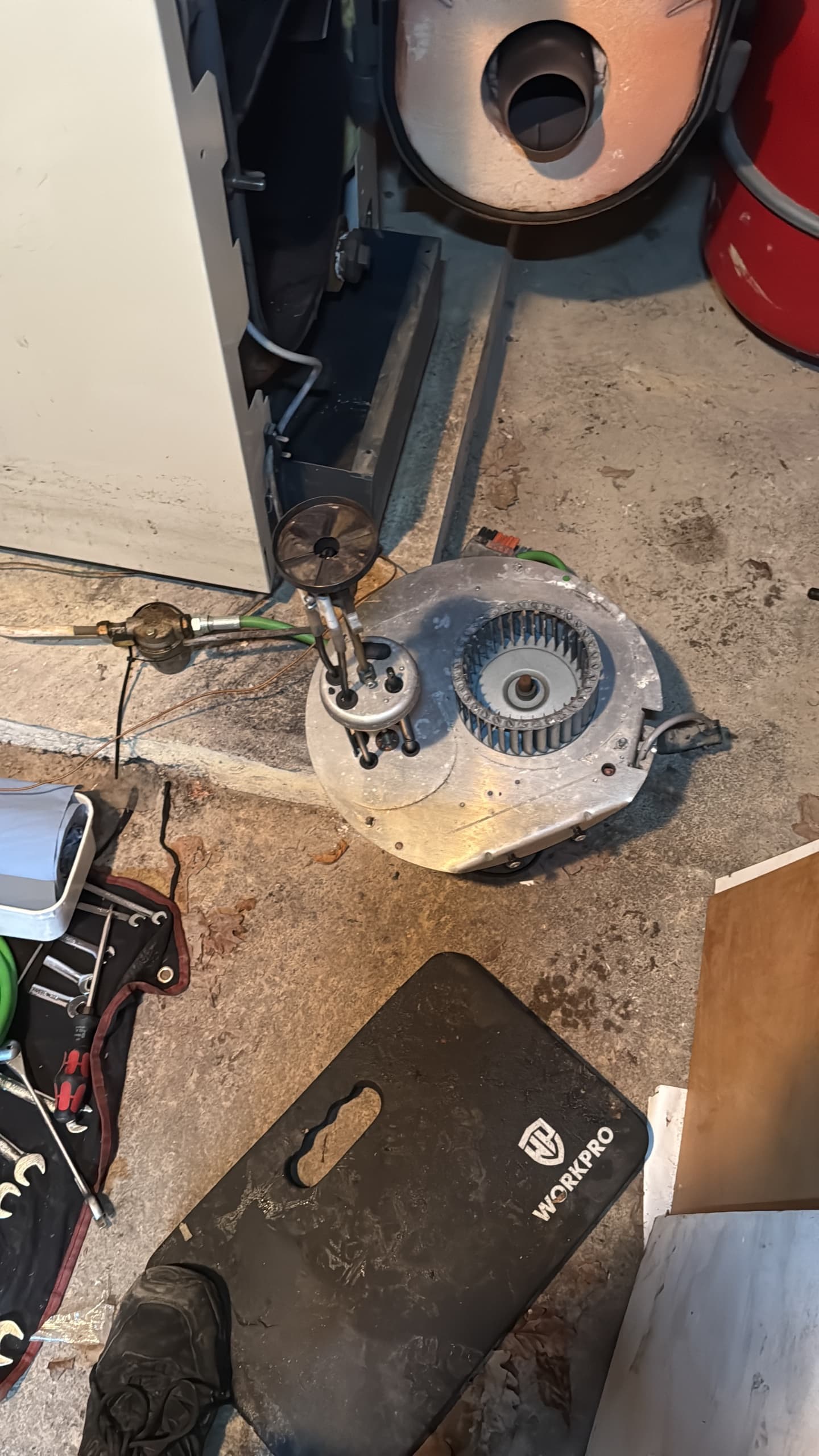 Oil Leak Detection & Repair